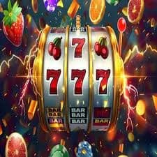 222vet